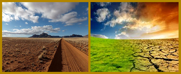 Climate Change and Environment